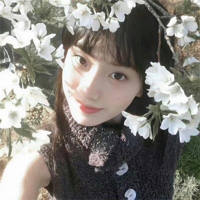 飞鹰人